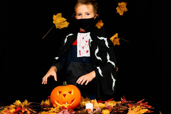 Young boy wearing face mask costume dressed as a halloween cosplay of scary dacula want to touch a jack\'o pumpkin lantern on black yellow leaves background.Studio shot.