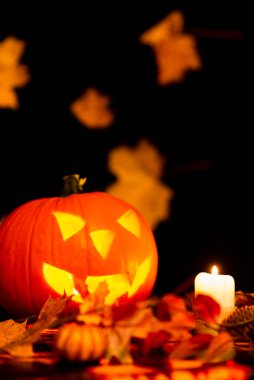 Cadılar Bayramı Renkli Tema Ürkütücü Karanlık ve Sarı Akçaağaç Yanan Balkabağı, Mum, Arka plan sarı yapraklı Odadan çıkar