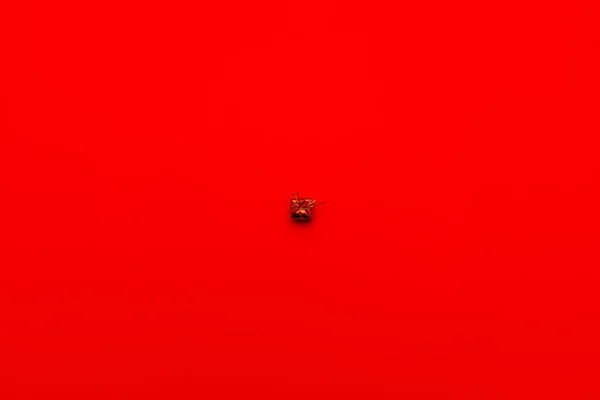 Weihnachten Concept Small Rote Geschenkbox Der Mitte Von Oben Ansicht — Stockfoto