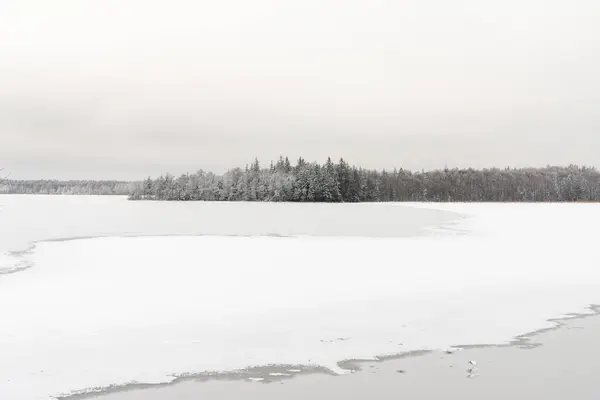 Zugefrorener See Verschneiter Wald Winter Kalter Tag — Stockfoto