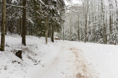 Kış yolu ve ağaçlar karla kaplı. Kış manzarası. Açık havada çekilmiş..