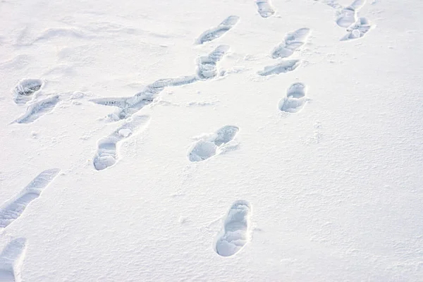 Voetafdrukken Sneeuwoppervlak Vers Diep Een Paar Voet Pad Trail Winter — Stockfoto