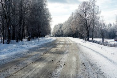 Güneşli bir günde, karlı ormanda kış yolu..