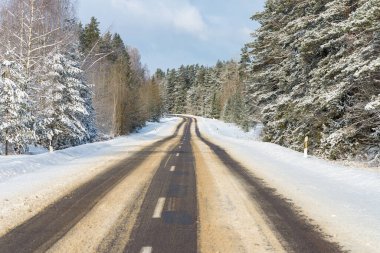 Güneşli bir günde, karlı ormanda kış yolu..