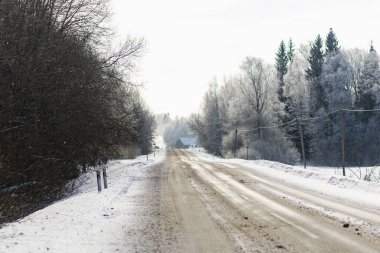 Güzel, soğuk bir günde, karlı ormanda kış yolu.