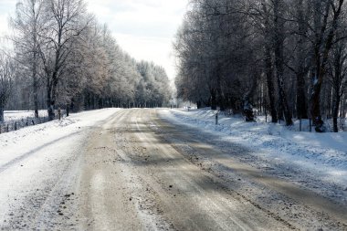 Güneşli bir günde, karlı ormanda kış yolu..