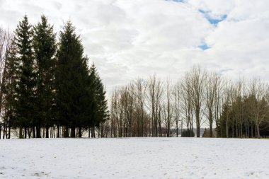 Bir kış günü, bir ormanın yanında eriyen beyaz kar. Mavi bulutlar gökyüzünde..