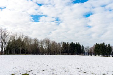 Bahar manzarası. Şimdi bir bahar kış günü bir ormanın yanında. Beyaz bulutlar mavi gökyüzü..