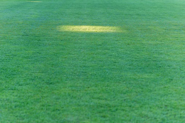 Texura Gramado Campo Grama Verde Com Sinal Iluminação Estádio Futebol — Fotografia de Stock