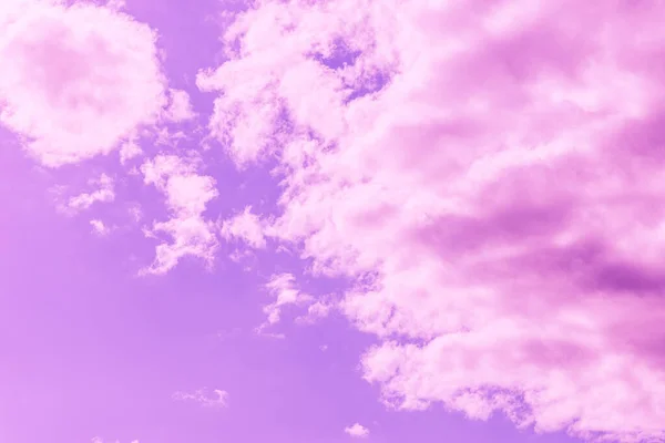 아름다운 분홍빛 보라색 백그라운드 — 스톡 사진