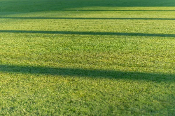 Texure Prato Campo Erba Verde Con Segni Illuminazione Allo Stadio — Foto Stock