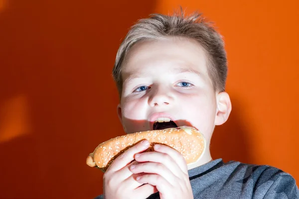 ハンサムな10歳の男の子が熱い犬を屋内オレンジのスタジオの背景画像を保持し — ストック写真