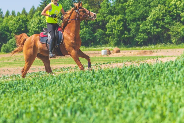 Frau Rennen Reiten Pferd Sommer Nature Equestrian Auf Einem Pferde — Stockfoto