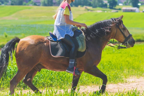 Konkurrentin Rivalin Reitet Pferd Sommerfeld Wiese Junge Reiterin Galoppiert Durch — Stockfoto
