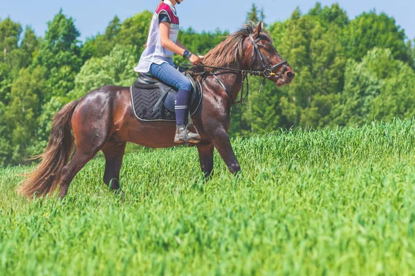 Konkurrentin Rivalin Reitet Pferd Sommerfeld Wiese Junge Reiterin Galoppiert Durch — Stockfoto