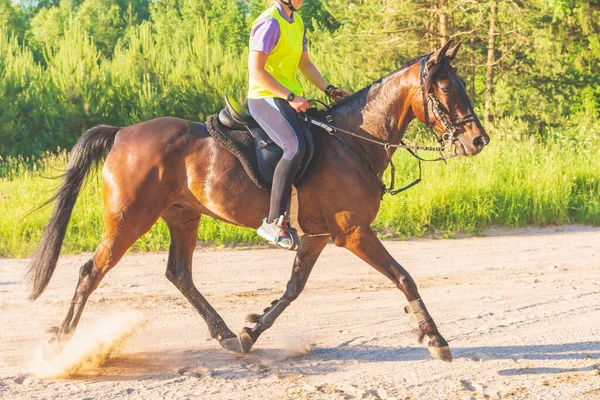 Konkurrentin Rivalin Reitet Pferd Sommerfeld Wiese Junge Reiterin Galoppiert Durch — Stockfoto