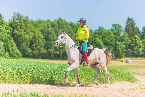 Konkurrentin Rivalisierende Mädchen Reiten Pferd Sommer Feld Wiese Junge Reiterin — Stockfoto