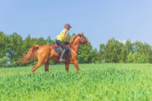 Konkurrentin Rivalisierende Mädchen Reiten Pferd Sommer Feld Wiese Junge Reiterin — Stockfoto