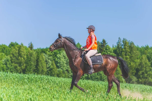 Konkurrentin Rivalisierende Mädchen Reiten Pferd Sommer Feld Wiese Junge Reiterin — Stockfoto