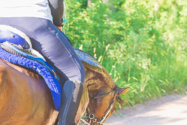 Konkurrentin Rivalisierende Mädchen Reiten Pferd Sommerfeld Wiese Junge Reiterin Galoppiert — Stockfoto
