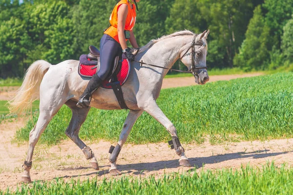 Konkurrentin Rivalin Reitet Pferd Sommerfeld Wiese Junge Reiterin Galoppiert Durch — Stockfoto