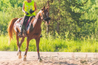 Yaz otlağında at süren rakip kız. Genç sürücü güneşli yaz gününde dört nala koşuyor. Rekabet kavramı..