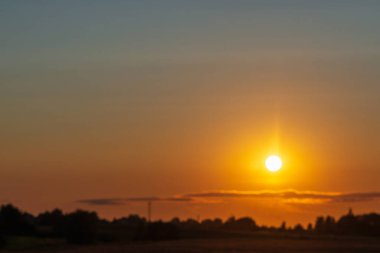 Orman akşamında ya da gündoğumu manzarasında sarı altın güneş. Ufukta bir ufuk..