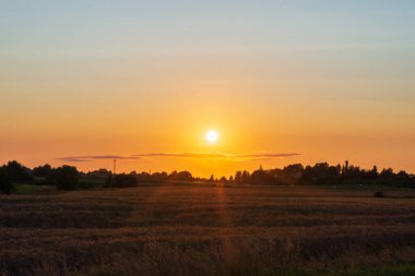Orman akşamında ya da gündoğumu manzarasında sarı altın güneş. Ufukta bir ufuk..