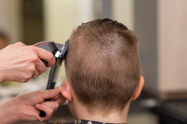 Cute Kid Boy Have Hair Cut Professional Barber Doing Haircut — Stock Photo, Image