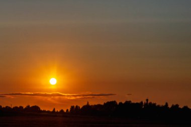 Orman akşamında ya da gündoğumu manzarasında sarı altın güneş. Ufukta bir ufuk..