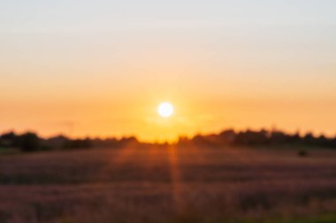 Yaz manzarasında bulanık gün batımı. Daha iyi bir tatil konsepti. Bulanık, güzel güneş ışığı ve altın gün batımı arka planı..