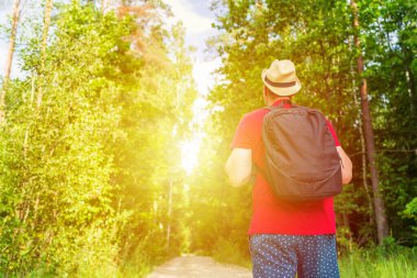 Gezgin genç adam yaz ormanlarında yolda yürüyor. Sırt çantalı genç adam sıcak yaz akşamlarında tek başına ormanı geziyor. Turizm ve aktif yaşam tarzı..