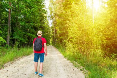 Gezgin genç adam yaz ormanlarında yolda yürüyor. Sırt çantalı genç adam sıcak yaz akşamlarında tek başına ormanı geziyor. Turizm ve aktif yaşam tarzı..