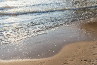 Kumlu akşam kumsalında denizin yumuşak dalgası. Odaklanma, bulanık görüntü. Boşluğu kopyala.