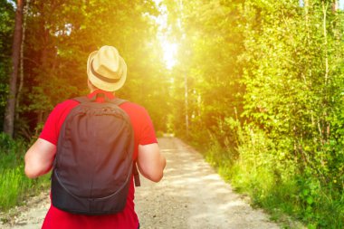 Gezgin genç adam yaz ormanlarında yolda yürüyor. Sırt çantalı genç adam sıcak yaz akşamlarında tek başına ormanı geziyor. Turizm ve aktif yaşam tarzı..