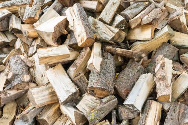 Kış mevsimi için yakıt ve ısı kaynağı. Yakacak odun ısıtma mevsimi için hazırlanıyor. Farklı ağaçlardan kesilmiş odun, açık havada..