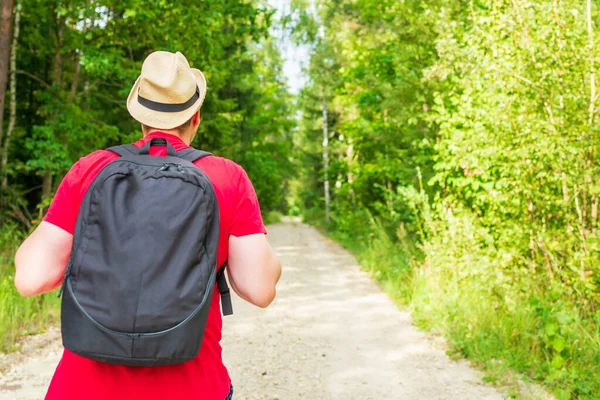 Viajero Joven Caminando Por Camino Bosque Verano Vista Trasera Del —  Fotos de Stock