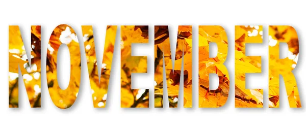 Napis Jesienny Tekst Białym Tle Pomarańczowy Suchy Klon Liści Listopad — Zdjęcie stockowe
