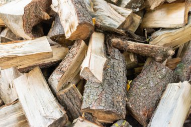 Kış mevsimi için yakıt ve ısı kaynağı. Yakacak odun ısıtma mevsimi için hazırlanıyor. Farklı ağaçlardan kesilmiş odun, açık havada..