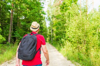 Gezgin genç adam yaz ormanlarında yolda yürüyor. Sırt çantalı genç adam sıcak yaz gününde tek başına ormanı geziyor. Turizm ve aktif yaşam tarzı kavramı..