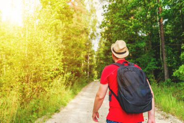 Gezgin genç adam yaz ormanlarında yolda yürüyor. Sırt çantalı genç adam sıcak yaz gününde tek başına ormanı geziyor. Turizm ve aktif yaşam tarzı kavramı..