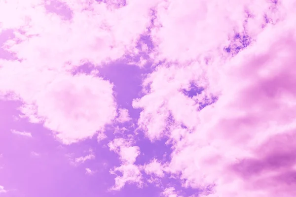 아름다운 분홍빛 보라색 백그라운드 — 스톡 사진