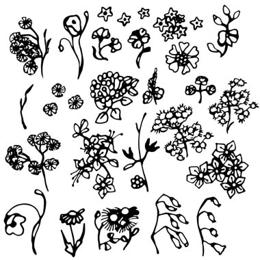 Dekoratif karalama çiçekleri. Çiçeklerin ve yaprakların yüceliği. Gölge ve siluet. Siyah çizgiler. Süsler, felçler ve kıvrımlar. Dijital dizaynlı bir maske. Yeni yıl, Cadılar Bayramı, Paskalya, Anneler Günü, 8 Mart. Retro