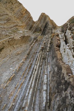 Zumaia 'nın sinekleri. Bask kıyıları, UNESCO tarafından Dünya Mirası ilan edildi. Dünya 'daki sineklerin arkeolojik oluşumları. 