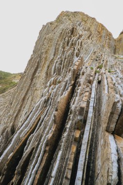 Zumaia 'nın sinekleri. Bask kıyıları, UNESCO tarafından Dünya Mirası ilan edildi. Dünya 'daki sineklerin arkeolojik oluşumları. 