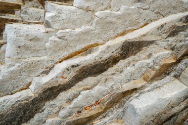 Sinek katmanları, sinek uçurumları, Bask kıyıları UNESCO Global Geopark, Avrupa Geopark Ağı, Zumaia, Guipzcoa, Bask Ülkesi, İspanya, Avrupa 