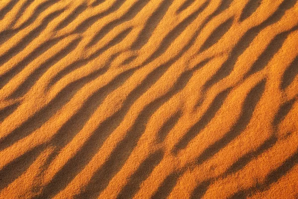 Desert sand background. Gold desert into the sunset