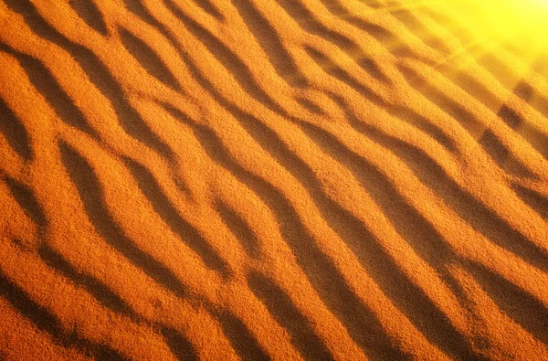 Z promieni słonecznych piasków pustyni. Złoto pustyni na zachodzie słońca — Zdjęcie stockowe