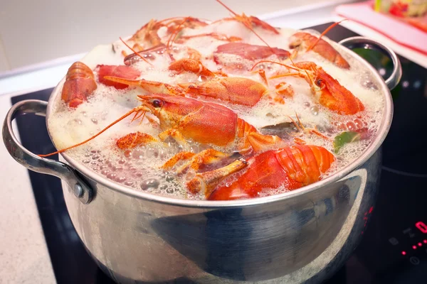 Fresh crayfish are cooked in a pot — Stock Photo, Image