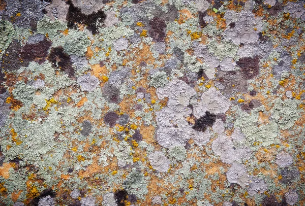 Ιστορικό υφής παλαιού πέτρινου τοίχου με βρύα — Φωτογραφία Αρχείου